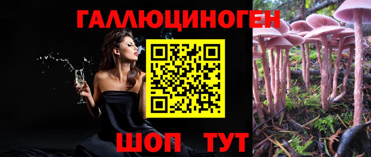 Новошахтинск  Псилоцибиновые грибы мухоморы  Вход с VPN 